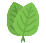 100% Natural Ingradients 100% Natural Ingradients